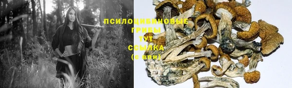 спайс Козловка